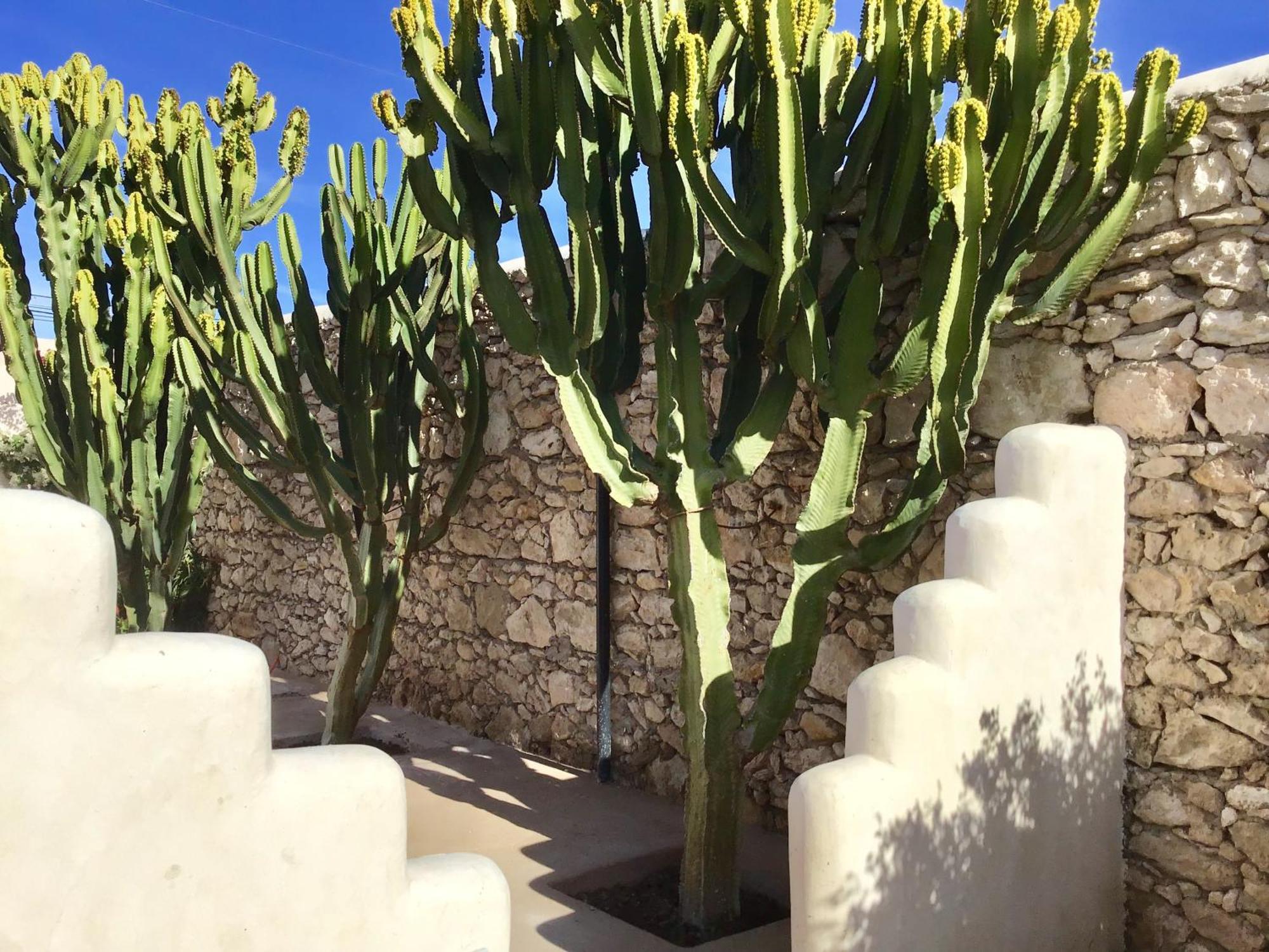 Dar Alya Essaouira Maison Et Table D'Hotes Al Ghar Exterior photo